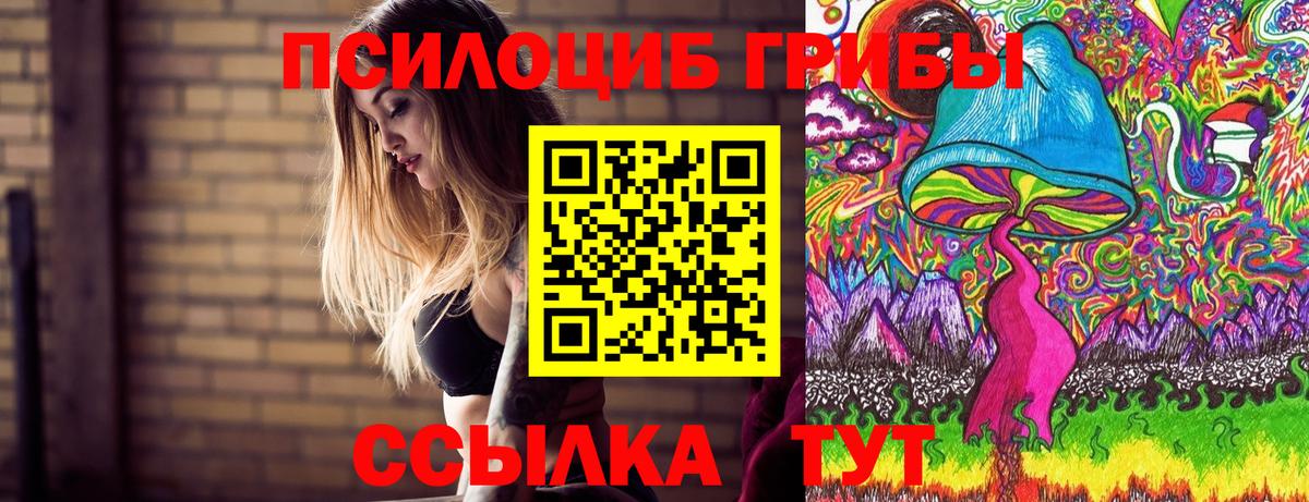 Великий Новгород  Галлюциногенные грибы мухоморы  Псилоцибиновые грибы прущие грибы  Вход с VPN 