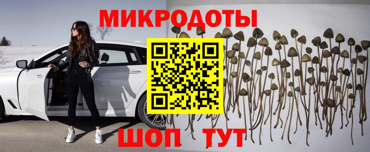 Галлюциногенные грибы мицелий Великий Новгород